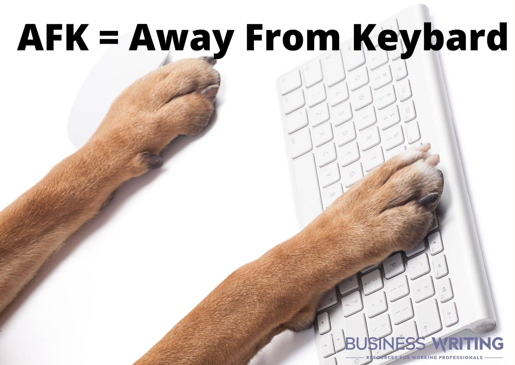 Graphic of dog's paws on a keyboard with the title "AFK = Away From Keyboard"