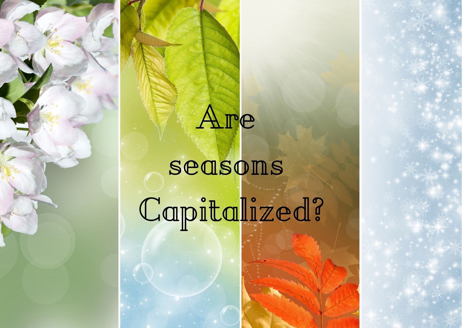 Are seasons capitalised?
