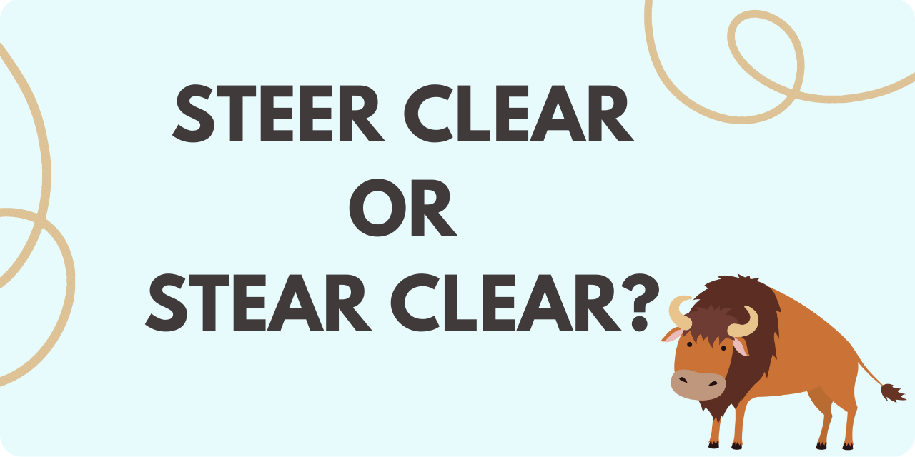 steer clear or stear clear