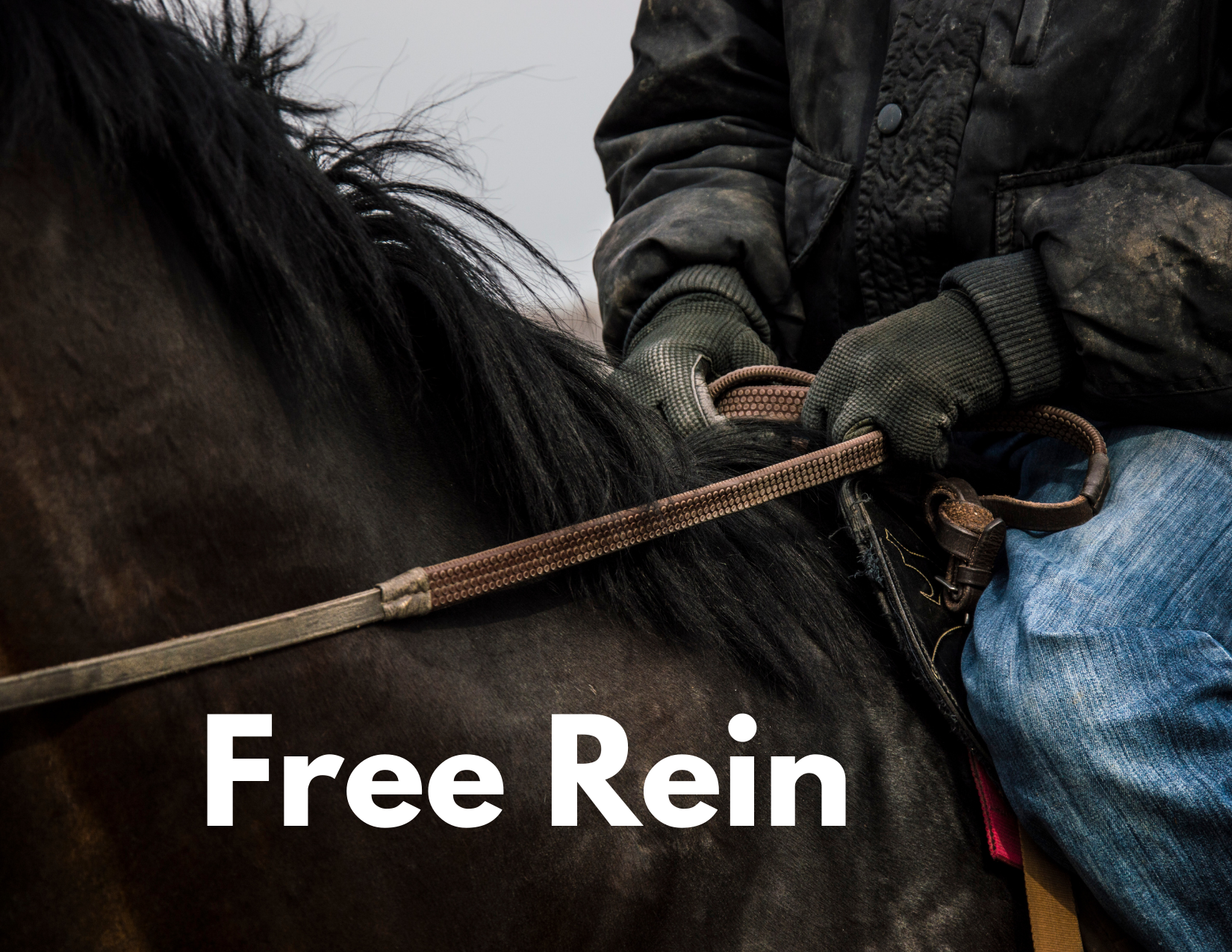 A picture of a horse and a man holding the reins with the caption "Free Rein"
