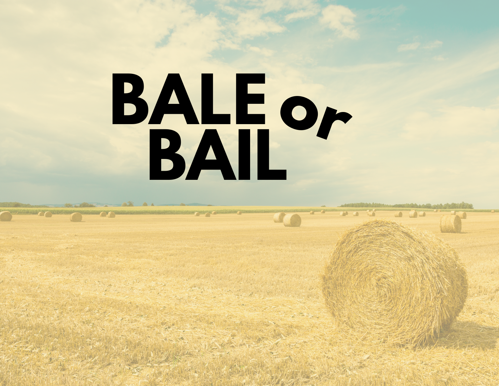 A picture of a field with a bale of hay and the caption Bail vs. Bale